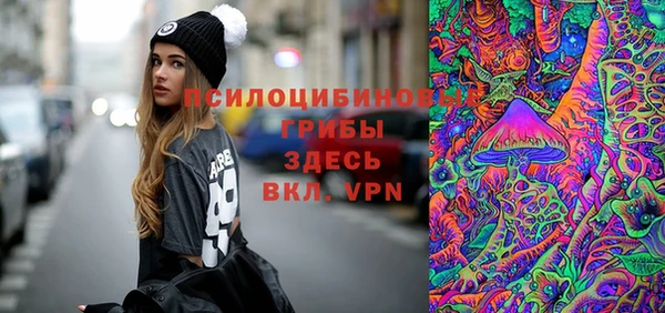эйфоретик Аркадак
