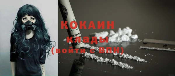 спайс Богданович