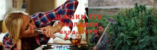 спайс Богданович
