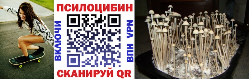 Галлюциногенные грибы Cubensis  Петропавловск-Камчатский 