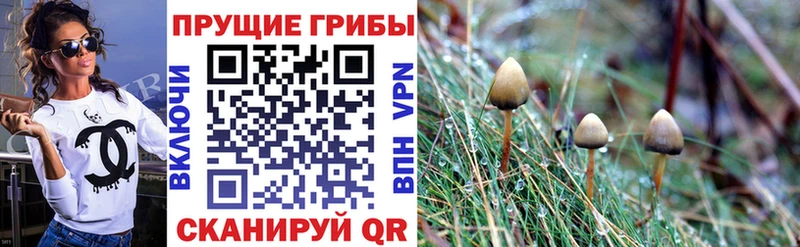 Галлюциногенные грибы Magic Shrooms Петропавловск-Камчатский