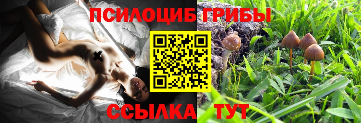 Галлюциногенные грибы Psilocybe  Вход с VPN  Галлюциногенные грибы мухоморы  Петропавловск-Камчатский 
